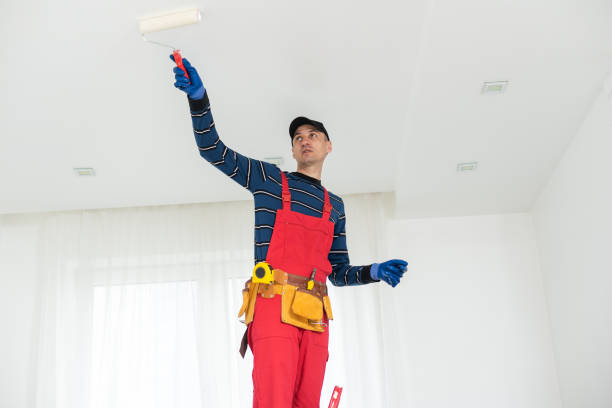 Best Water-Damaged Drywall Repair  in USA